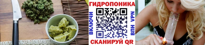 Canna-Cookies марихуана Курчалой