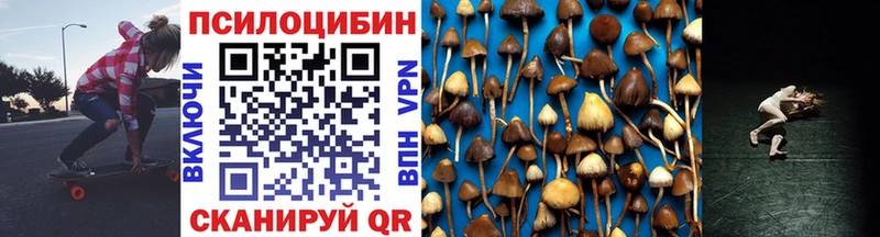 Псилоцибиновые грибы мухоморы  Курчалой 